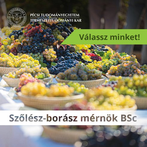 Szőlész-borász mérnők BSc